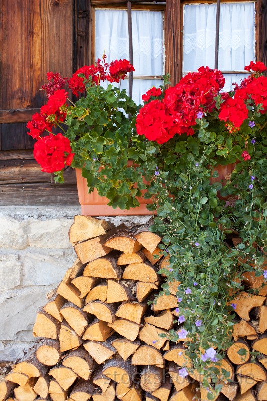 _MG_2729_geranie.jpg - geranium flowers on a bavarian hut